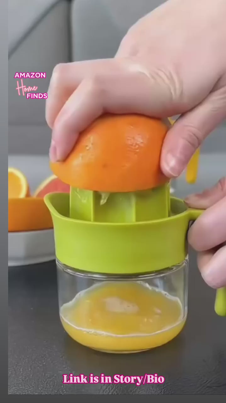 Lock It Fruit Juicer