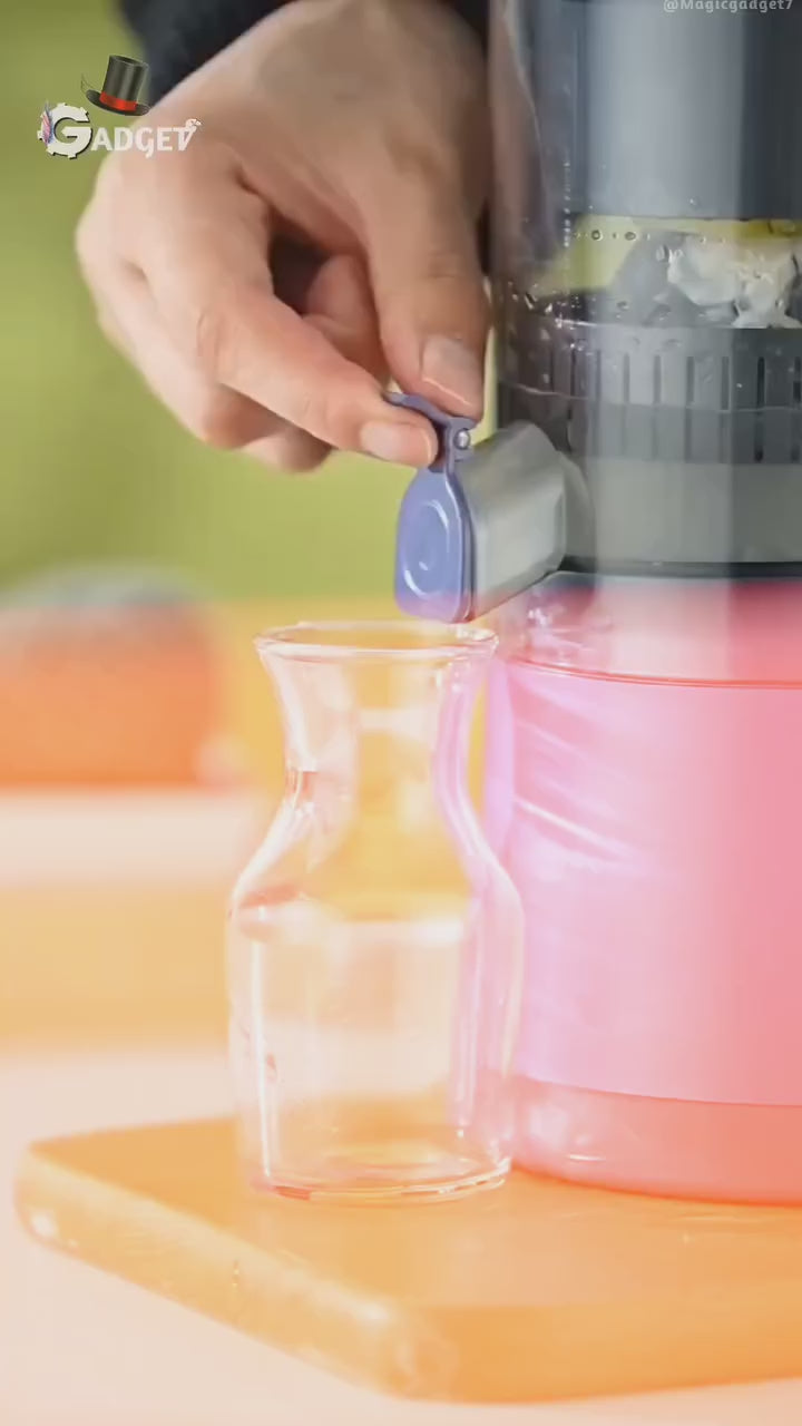 Electric Citrus Juicer